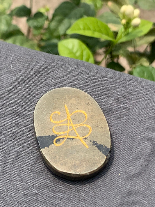 Pyrite zibu coin