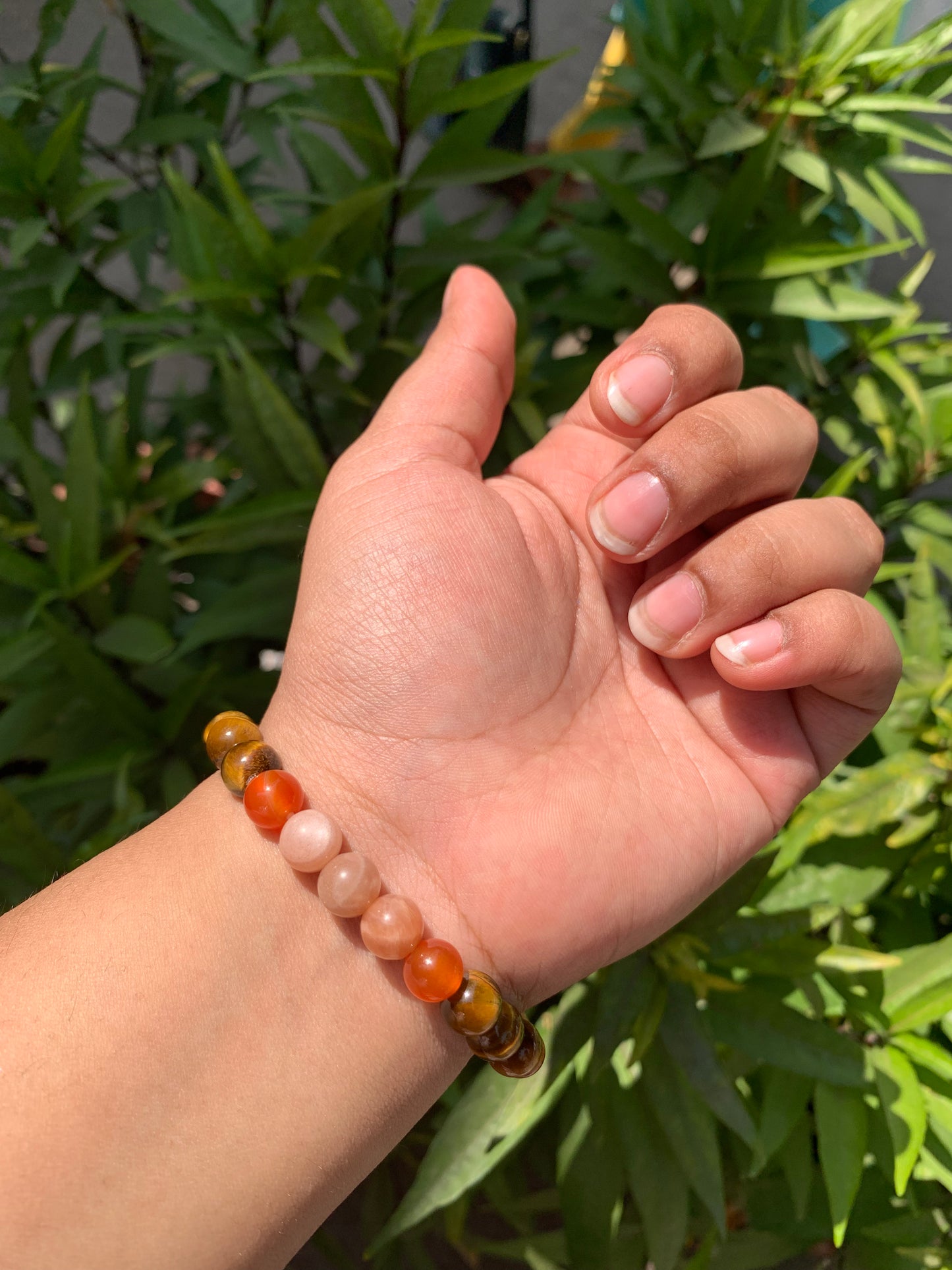Rashi bracelets - Leo
