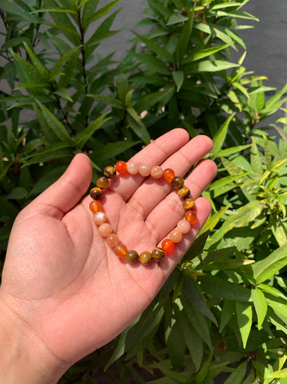 Rashi bracelets - Leo