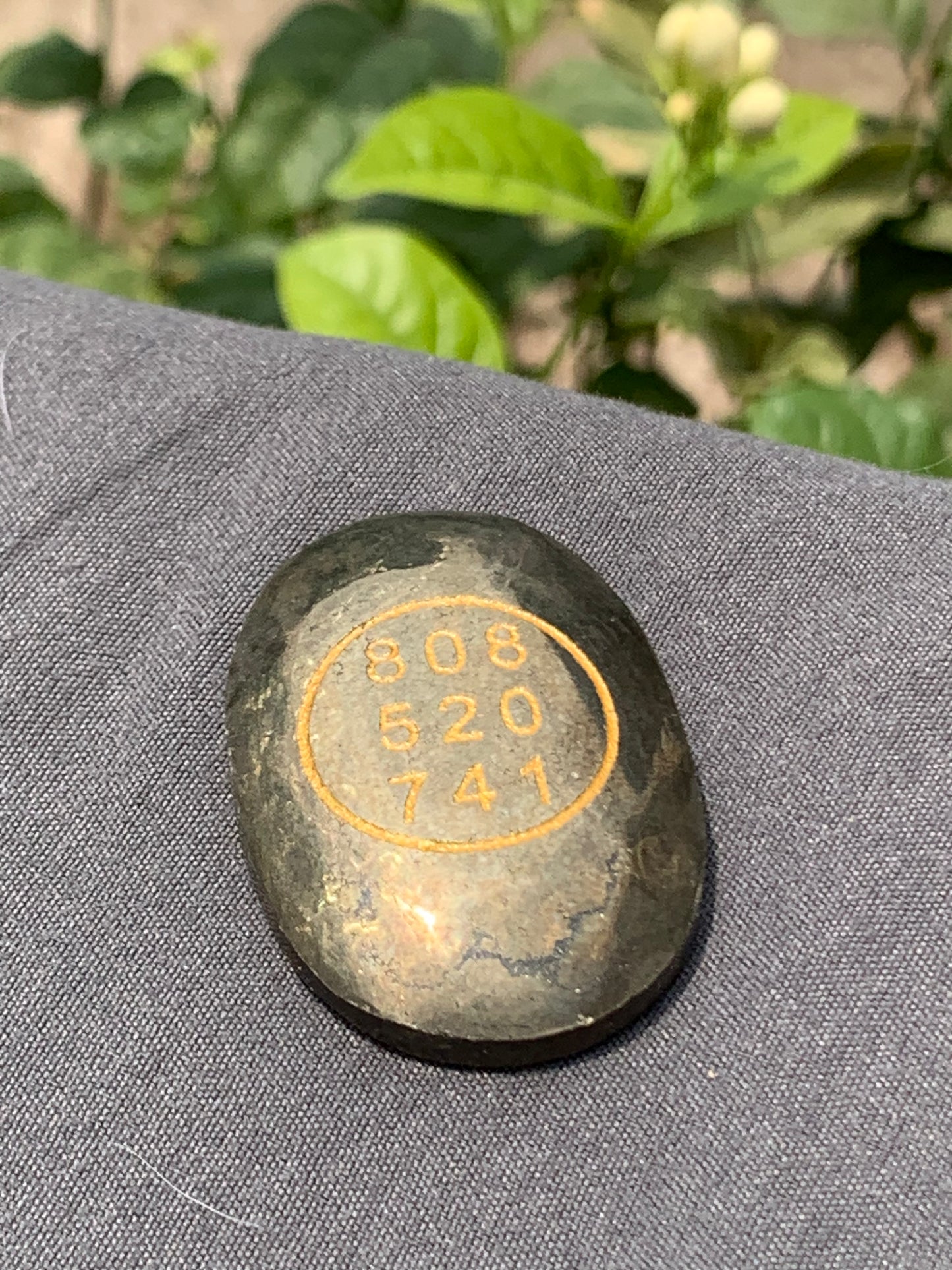Pyrite zibu coin