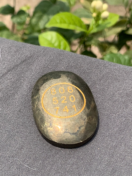 Pyrite zibu coin