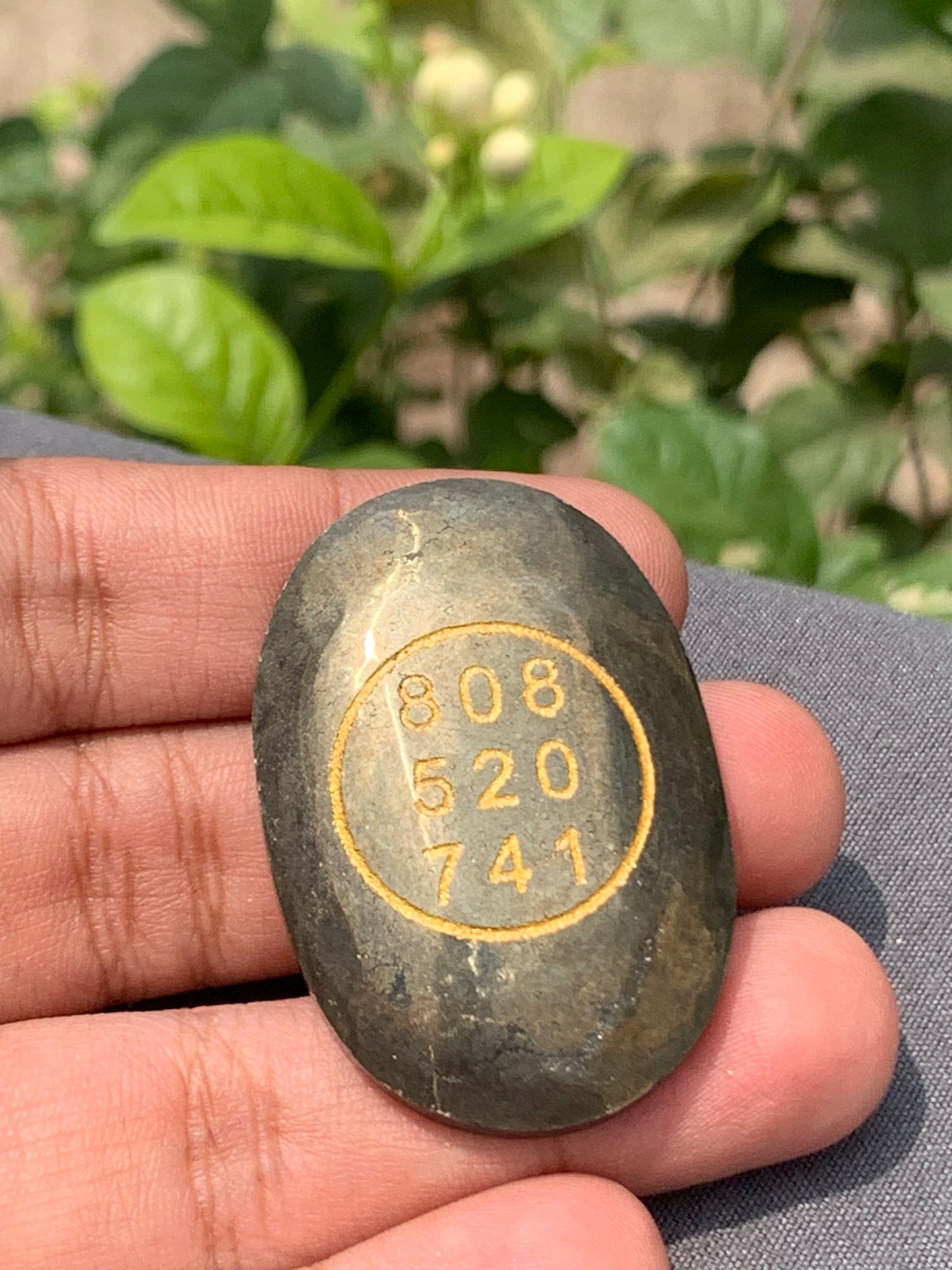 Pyrite zibu coin